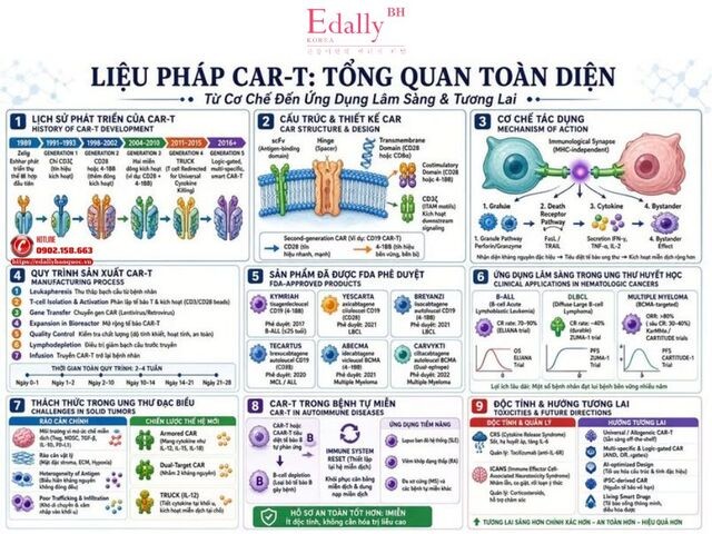 Liệu pháp CAR-T : Từ cơ chế đến ứng dụng lâm sàng và tương lai